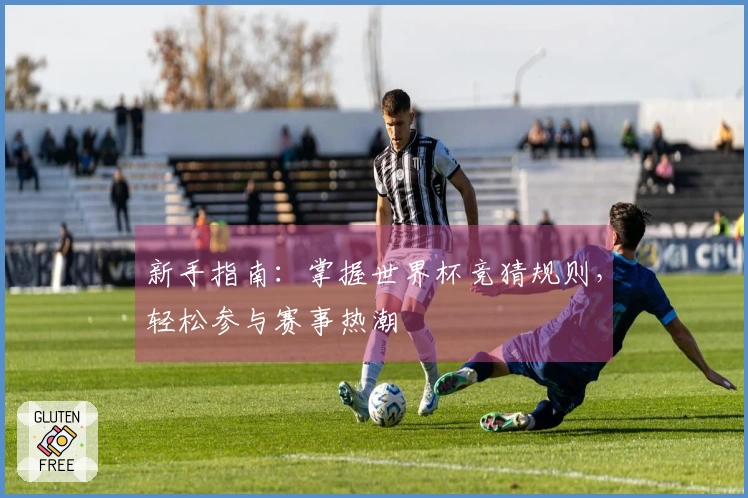 新手指南：掌握世界杯竞猜规则，轻松参与赛事热潮