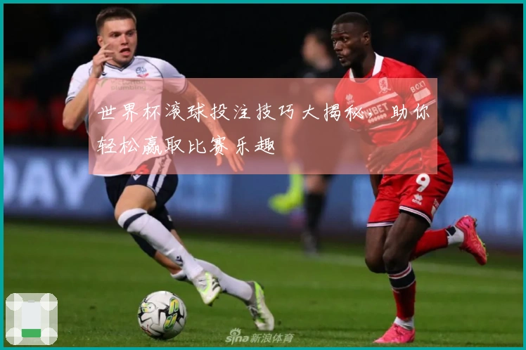 世界杯滚球投注技巧大揭秘，助你轻松赢取比赛乐趣