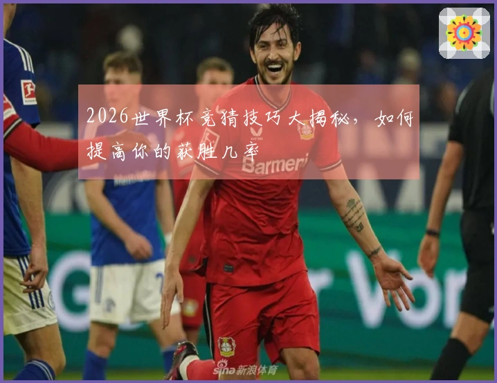 2026世界杯竞猜技巧大揭秘，如何提高你的获胜几率