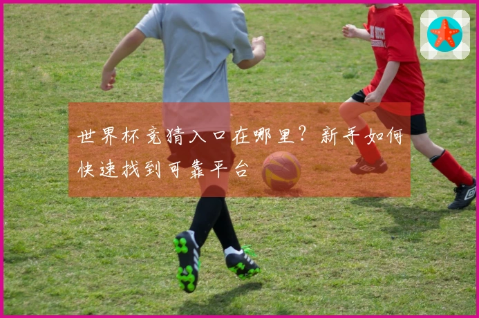 世界杯竞猜入口在哪里？新手如何快速找到可靠平台