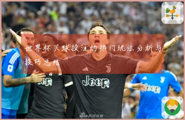 世界杯买球投注的热门玩法分析与技巧总结