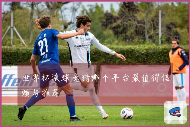 世界杯滚球竞猜哪个平台最值得信赖与推荐