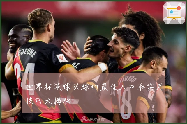 世界杯滚球买球的最佳入口和实用技巧大揭秘
