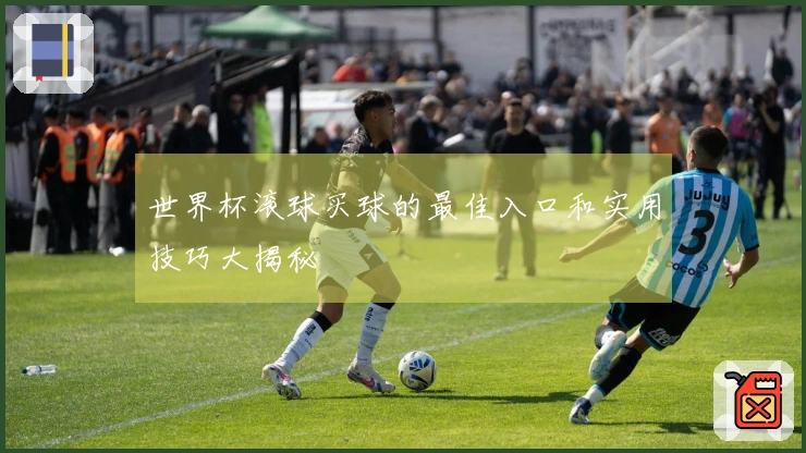 世界杯滚球买球的最佳入口和实用技巧大揭秘