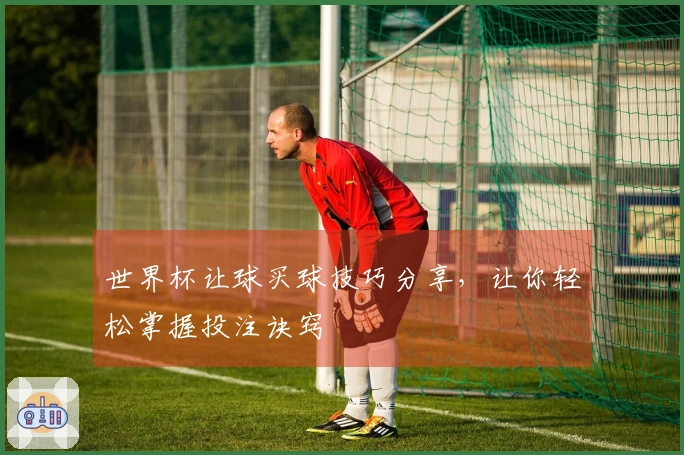 世界杯让球买球技巧分享，让你轻松掌握投注诀窍