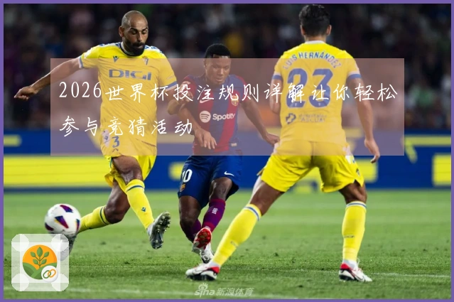 2026世界杯投注规则详解让你轻松参与竞猜活动