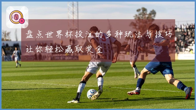 盘点世界杯投注的多种玩法与技巧让你轻松赢取奖金