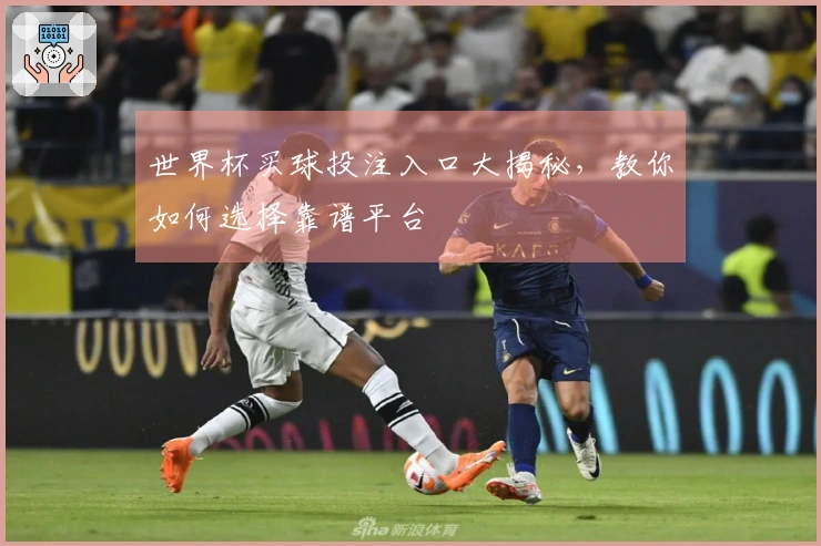 世界杯买球投注入口大揭秘，教你如何选择靠谱平台