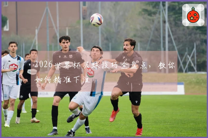 2026世界杯买球技巧全盘点，教你如何精准下注