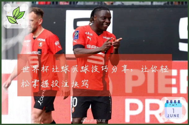 世界杯让球买球技巧分享，让你轻松掌握投注诀窍