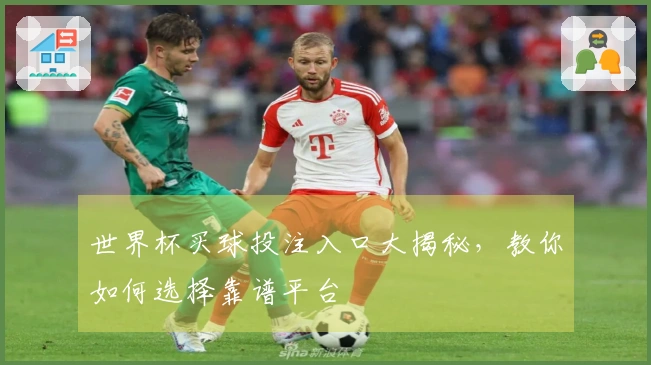 世界杯买球投注入口大揭秘，教你如何选择靠谱平台