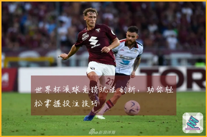 世界杯滚球竞猜玩法剖析，助你轻松掌握投注技巧