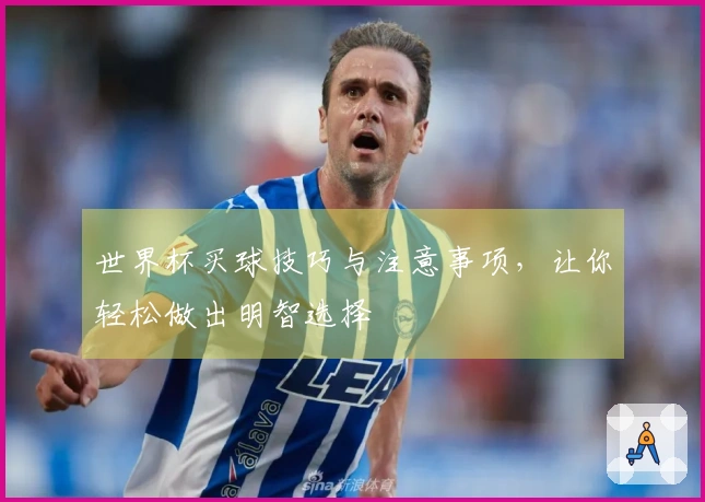 世界杯买球技巧与注意事项，让你轻松做出明智选择