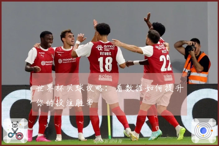 世界杯买球攻略：看数据如何提升你的投注胜率