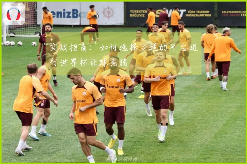 实战指南：如何选择合适的平台进行世界杯让球竞猜