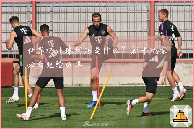 世界杯让球到底是什么？新手玩家必看经验分享